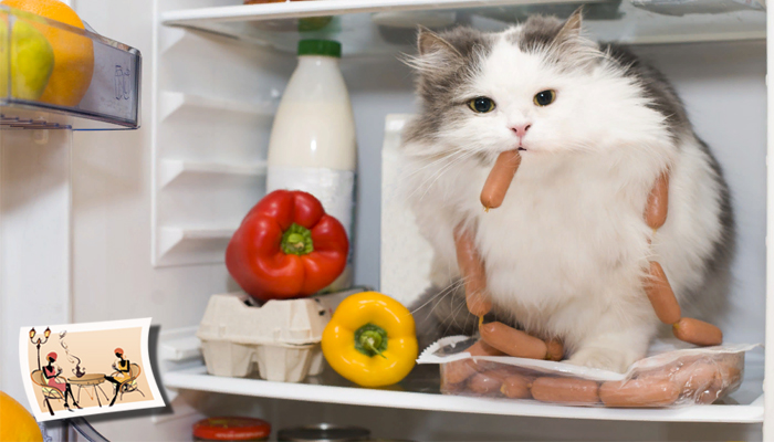 9 интересных фактов о еде или Зачем эскимосы хранят еду в холодильнике?