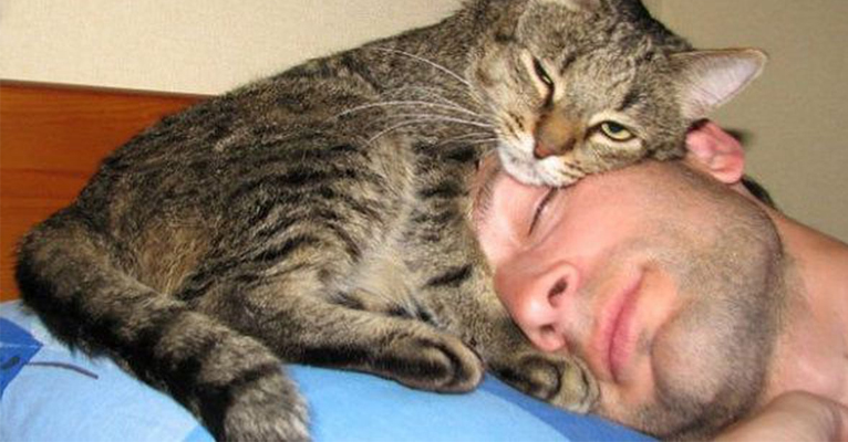 Для чего кошки ложатся спать с хозяевами?