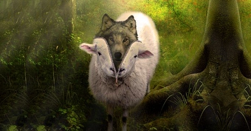 Волки в овечьих шкурах: какие люди запросто предадут ваше доверие
