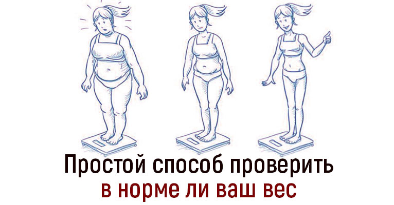 «Мозг против лишнего веса»: простой способ проверить, в норме ли ваш вес
