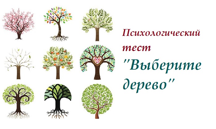 «Выберите дерево» — оно покажет твои самые сильные черты личности