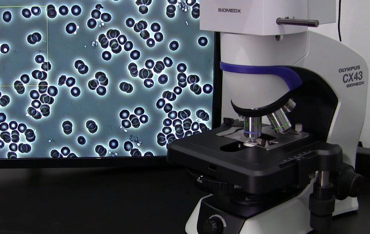 Темнопольный микроскоп: особенности и преимущества