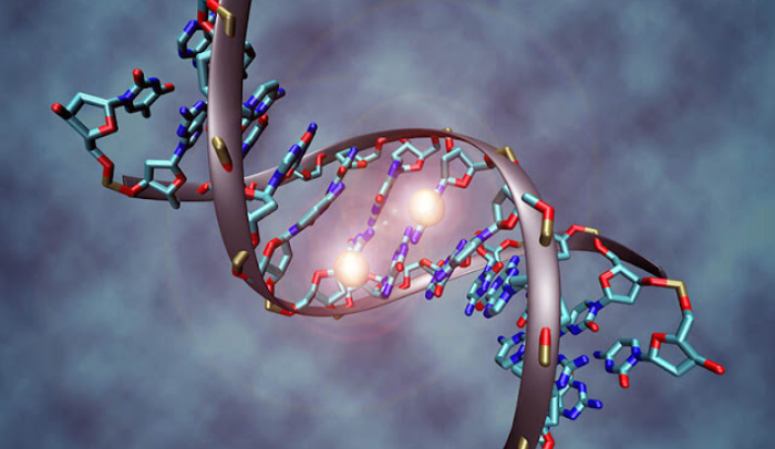 Грегг Брейден: как молекула ДНК может исцелиться при помощи ЧУВСТВ человека