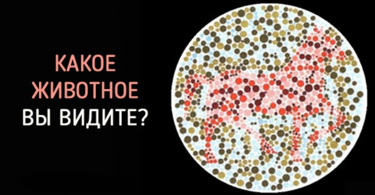 Тест: «Какое животное вы увидели первым ?»